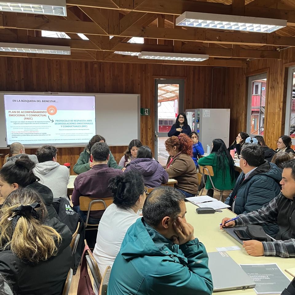 Escuela de Pedagogía fortalece vinculación con establecimientos educativos mediante taller sobre desregulación emocional y conductual
