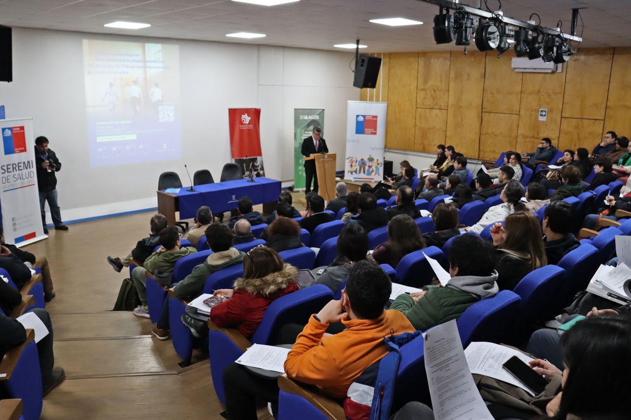 Escuela de Pedagogía ULagos fortalece articulación regional ante la implementación de la Ley de Actividad Física y Deporte